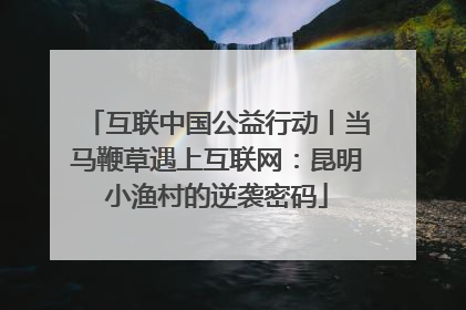 互联中国公益行动丨当马鞭草遇上互联网：昆明小渔村的逆袭密码