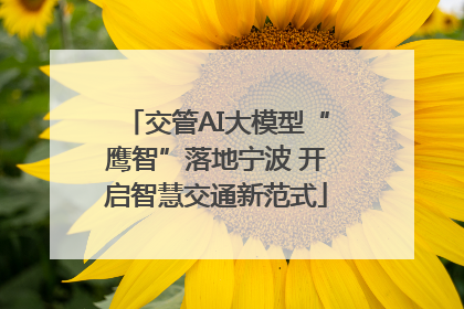 交管AI大模型“鹰智”落地宁波 开启智慧交通新范式