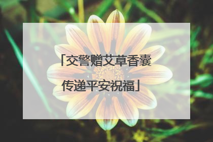 交警赠艾草香囊 传递平安祝福