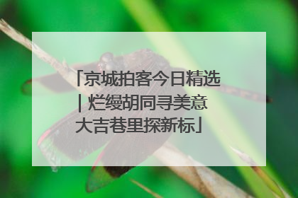 京城拍客今日精选｜烂缦胡同寻美意 大吉巷里探新标