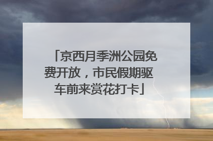 京西月季洲公园免费开放，市民假期驱车前来赏花打卡