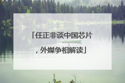 任正非谈中国芯片，外媒争相解读