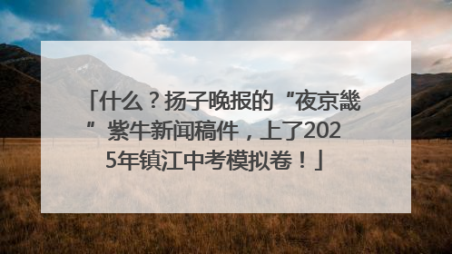 什么？扬子晚报的“夜京畿”紫牛新闻稿件，上了2025年镇江中考模拟卷！
