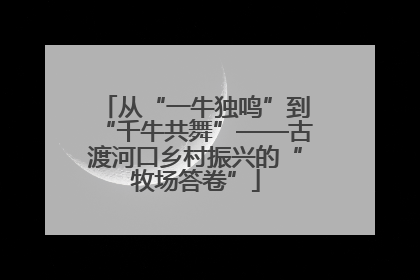 从“一牛独鸣”到“千牛共舞”——古渡河口乡村振兴的“牧场答卷”
