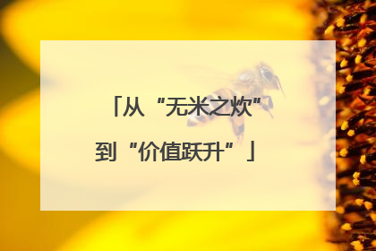从“无米之炊”到“价值跃升”