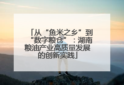 从“鱼米之乡”到“数字粮仓”：湖南粮油产业高质量发展的创新实践