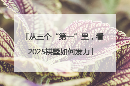 从三个“第一”里，看2025拱墅如何发力