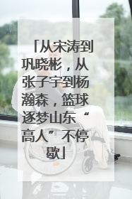 从宋涛到巩晓彬，从张子宇到杨瀚森，篮球逐梦山东“高人”不停歇