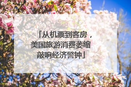 从机票到客房，美国旅游消费萎缩敲响经济警钟