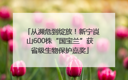 从濒危到绽放！新宁崀山600株“国宝兰”获省级生物保护嘉奖