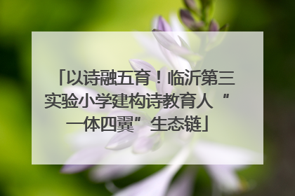 以诗融五育！临沂第三实验小学建构诗教育人“一体四翼”生态链
