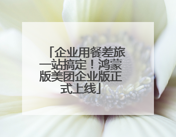 企业用餐差旅一站搞定！鸿蒙版美团企业版正式上线