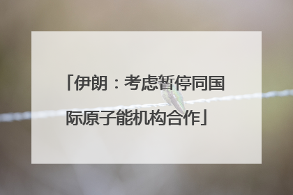 伊朗：考虑暂停同国际原子能机构合作
