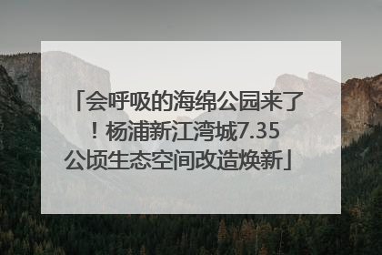 会呼吸的海绵公园来了！杨浦新江湾城7.35公顷生态空间改造焕新