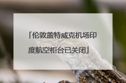 伦敦盖特威克机场印度航空柜台已关闭