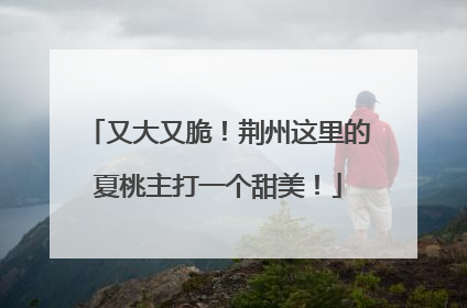 又大又脆！荆州这里的夏桃主打一个甜美！