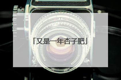 又是一年杏子肥