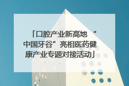 口腔产业新高地 “中国牙谷”亮相医药健康产业专题对接活动