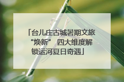 台儿庄古城暑期文旅“焕新” 四大维度解锁运河夏日奇遇