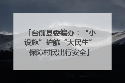 台前县委编办：“小设施”护航“大民生” 保障村民出行安全