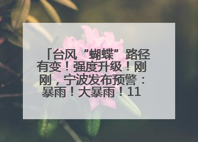台风“蝴蝶”路径有变！强度升级！刚刚，宁波发布预警：暴雨！大暴雨！11级大风！