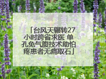 台风天辗转27小时跨省求医 单孔免气腹技术助怕疼患者无痛取石