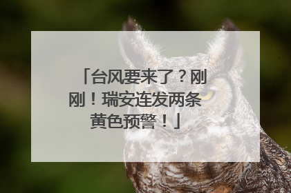台风要来了？刚刚！瑞安连发两条黄色预警！