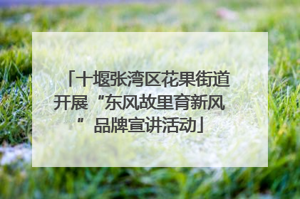 十堰张湾区花果街道开展“东风故里育新风”品牌宣讲活动