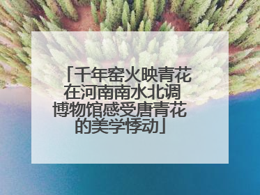 千年窑火映青花 在河南南水北调博物馆感受唐青花的美学悸动