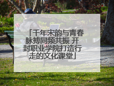 千年宋韵与青春脉搏同频共振 开封职业学院打造行走的文化课堂