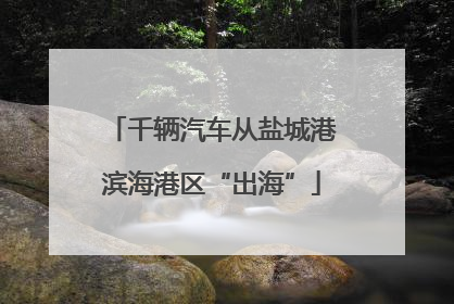 千辆汽车从盐城港滨海港区“出海”