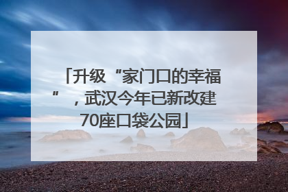 升级“家门口的幸福”，武汉今年已新改建70座口袋公园