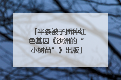 半条被子播种红色基因《沙洲的“小树苗”》出版
