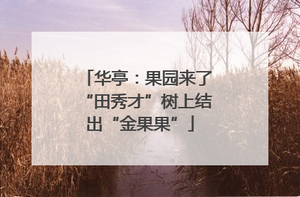 华亭：果园来了“田秀才”树上结出“金果果”