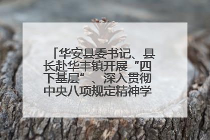 华安县委书记、县长赴华丰镇开展“四下基层”、深入贯彻中央八项规定精神学习教育工作调研