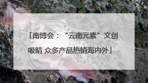 南博会：“云南元素”文创吸睛 众多产品热销海内外