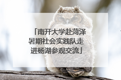 南开大学赴菏泽暑期社会实践队走进杨湖参观交流