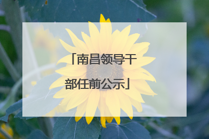 南昌领导干部任前公示