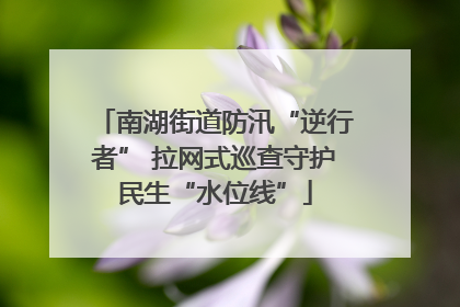南湖街道防汛“逆行者” 拉网式巡查守护民生“水位线”