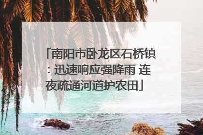 南阳市卧龙区石桥镇：迅速响应强降雨 连夜疏通河道护农田