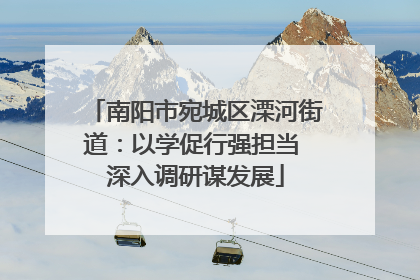 南阳市宛城区溧河街道：以学促行强担当 深入调研谋发展