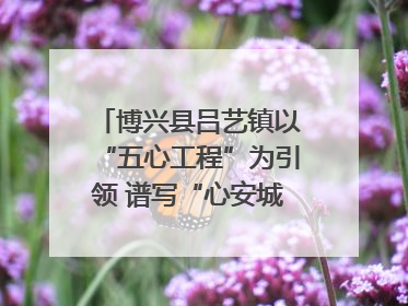 博兴县吕艺镇以“五心工程”为引领 谱写“心安城市”建设新篇章