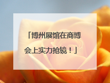 博州展馆在商博会上实力抢镜！