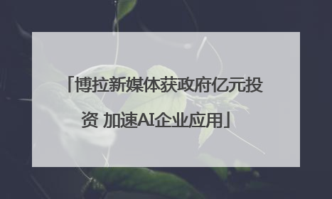 博拉新媒体获政府亿元投资 加速AI企业应用