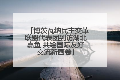 博茨瓦纳民主变革联盟代表团到访湖北嘉鱼 共绘国际友好交流新画卷