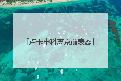 卢卡申科离京前表态