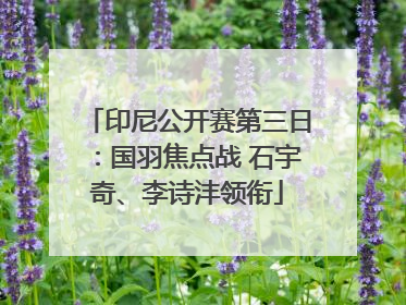 印尼公开赛第三日：国羽焦点战 石宇奇、李诗沣领衔