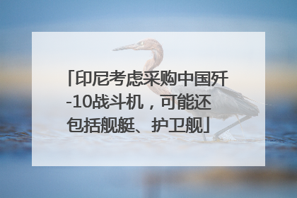 印尼考虑采购中国歼-10战斗机，可能还包括舰艇、护卫舰