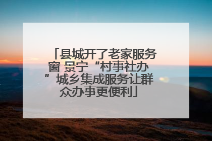 县城开了老家服务窗 景宁“村事社办”城乡集成服务让群众办事更便利