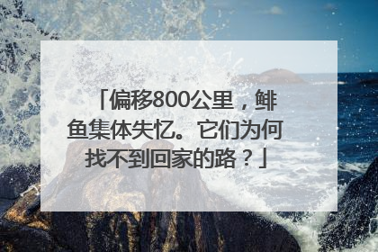 偏移800公里，鲱鱼集体失忆。它们为何找不到回家的路？